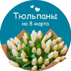 Купить тюльпаны в Новомосковске